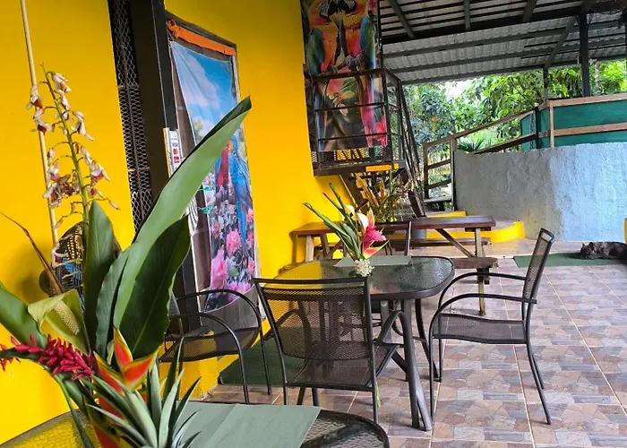 Rainforest Lodge Del Rio