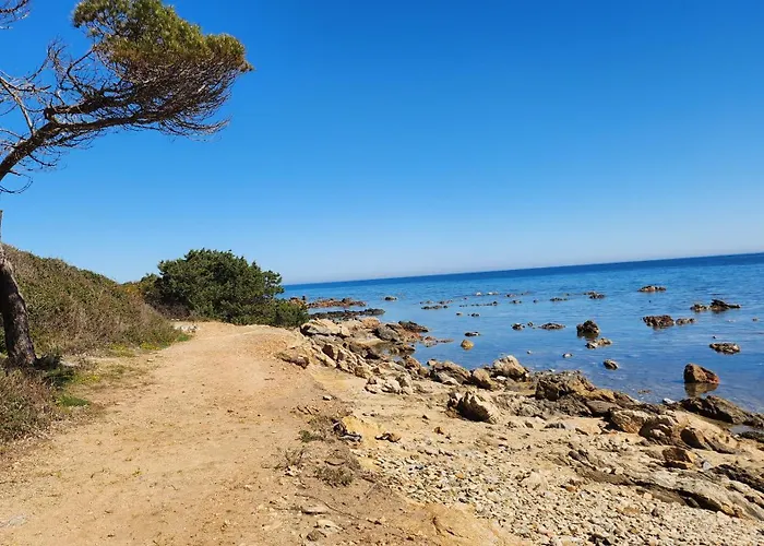 Le Pavoncelle