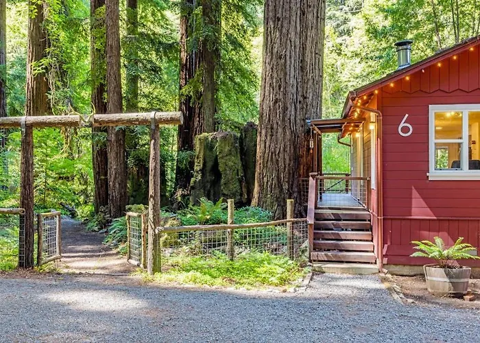 Caz Cabin 6