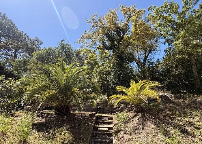 Spacieuse Villa Familiale Avec Terrasses A 500M Du Bassin