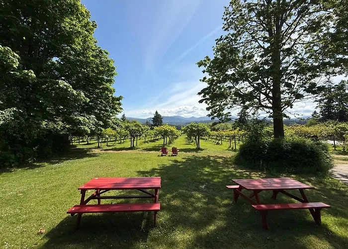 Kiwi Cove Lodge