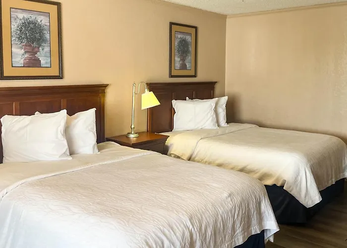 Motel 6 Williamston, Nc - Highway 17