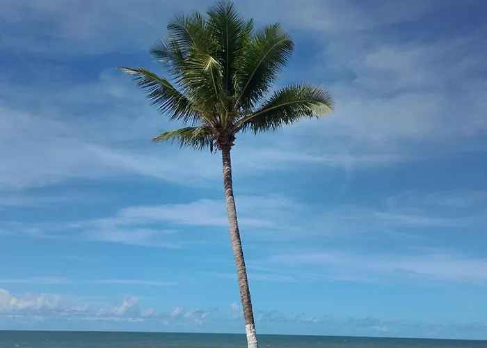 Apartamento aconchegante 2 quartos com suíte na praia de Guaibim