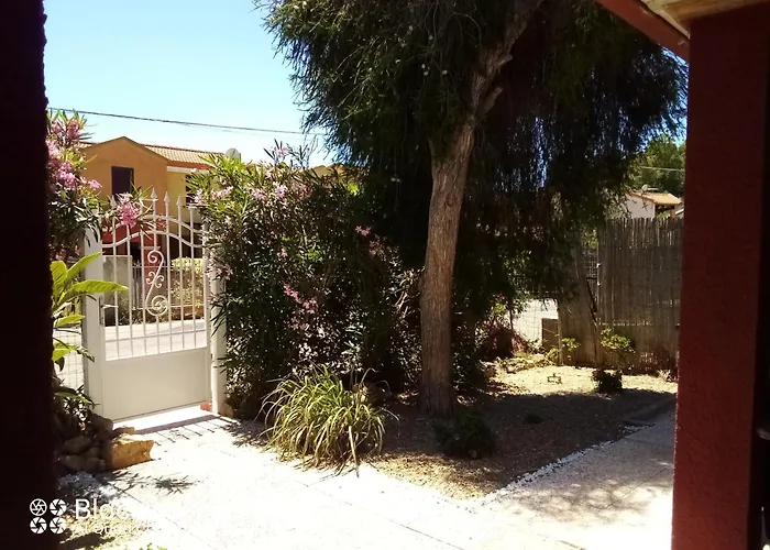 Casa Per Amanti Gatti