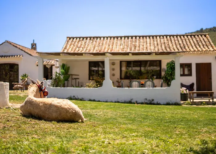 Finca Santa Teresa, Casa La Higuera
