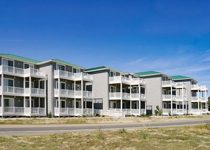 Seaside - Sand Dollar C-103