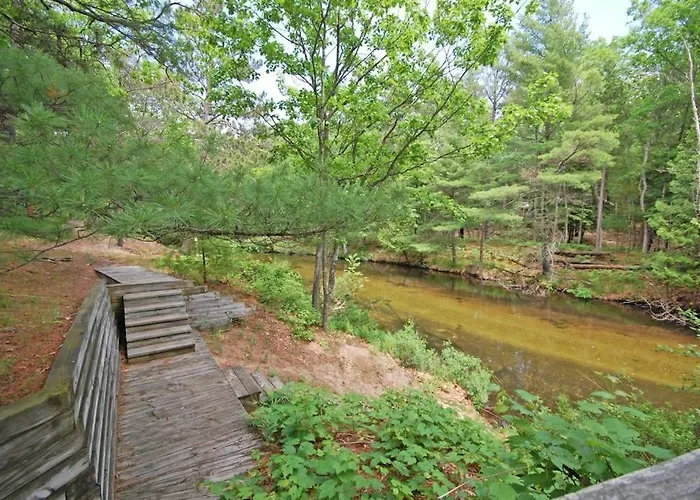 Wilderness 41