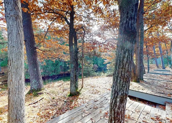 Wilderness 41