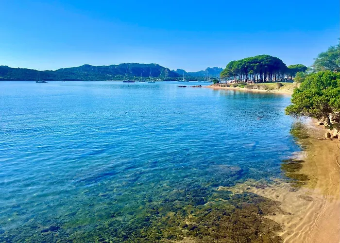 Case Vacanze La Conia