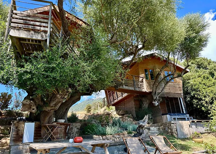 Cabane Dans Les Arbres, Domaine De L Ogliastru