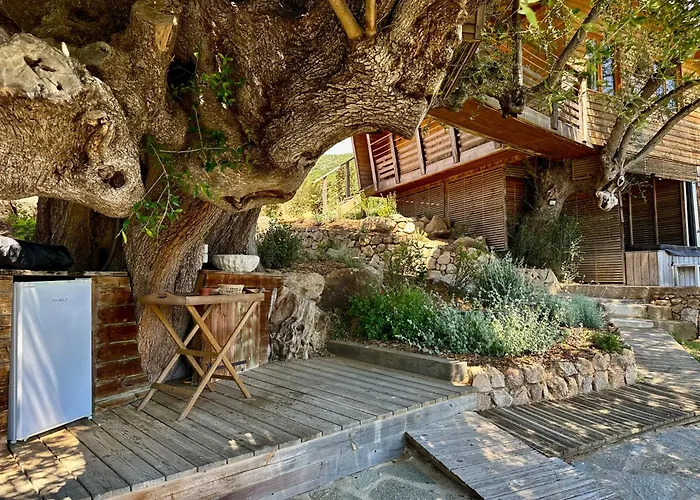 Cabane Dans Les Arbres, Domaine De L Ogliastru