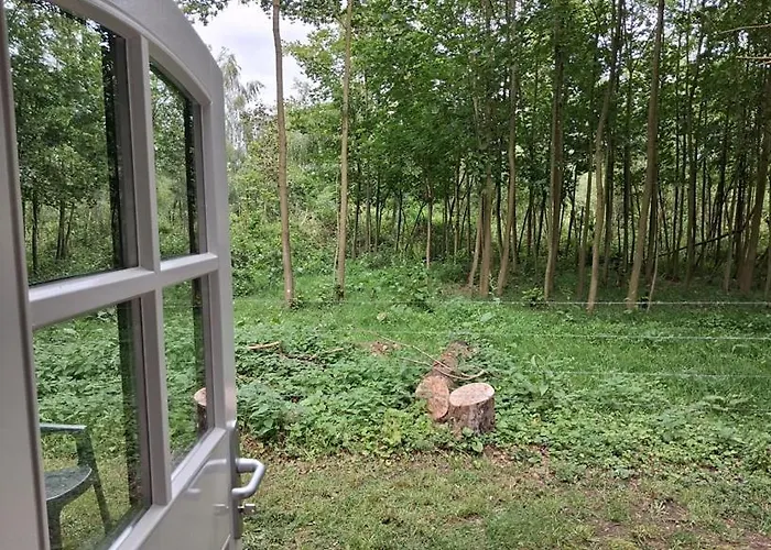 de Zeilende kraay