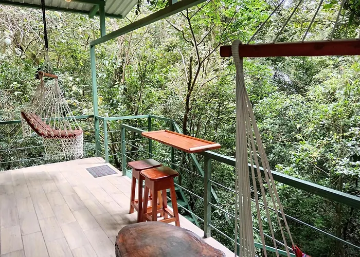 Jungle Living Tree Houses