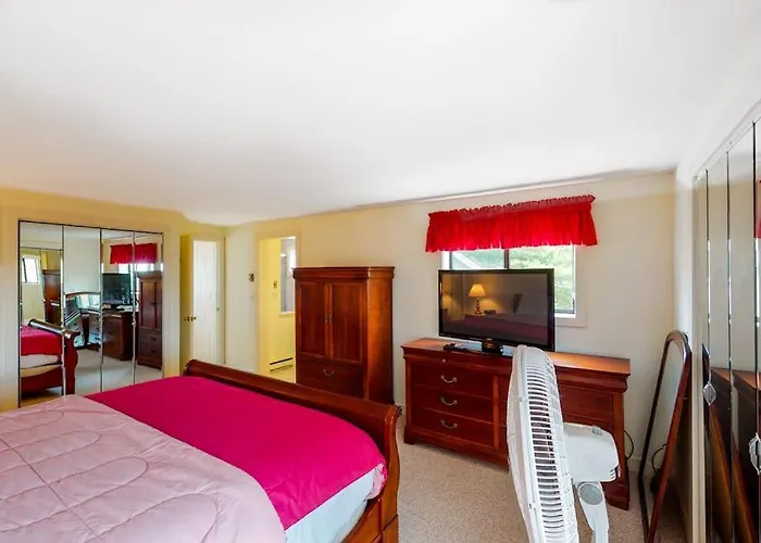 Bromley Village - Clovers 767A