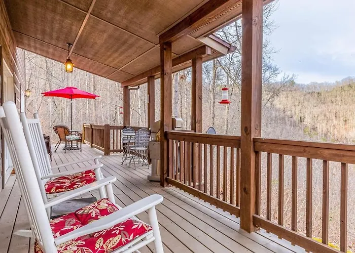 Tree Top Cabin