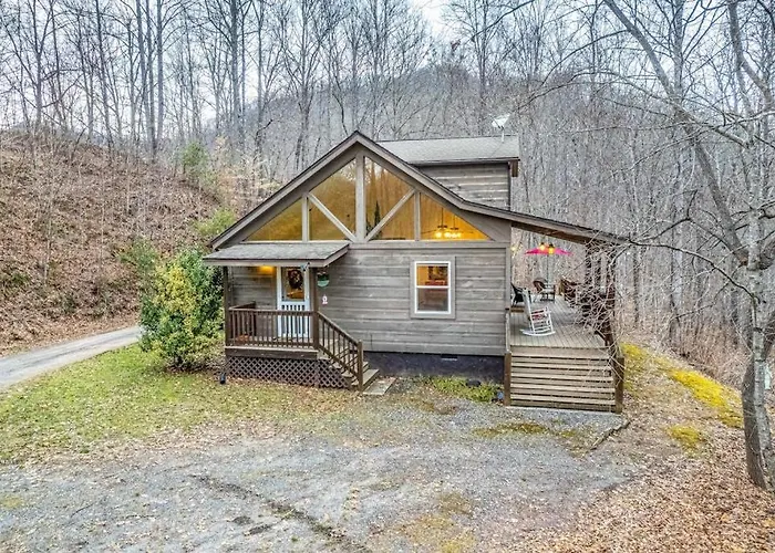Tree Top Cabin