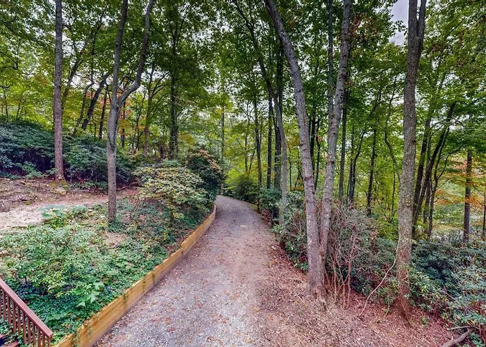 Brook Hollow