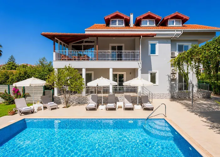 Daisy Villa