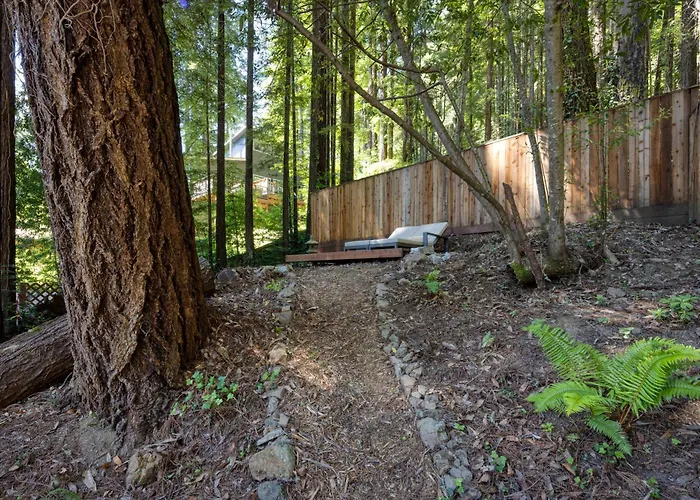 Wanderwood