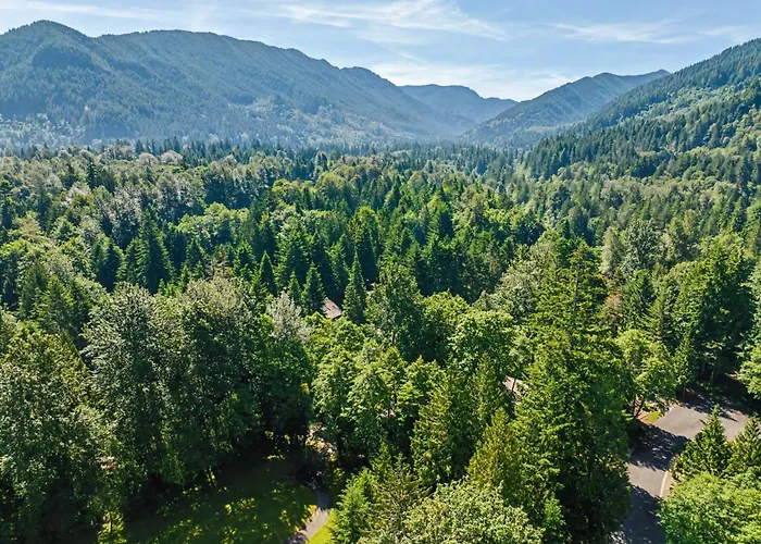 Lazy Bear Lodge - Spacious 6Br Lodge With Chef'S Kitchen, Hot Tub, Golf Views And More