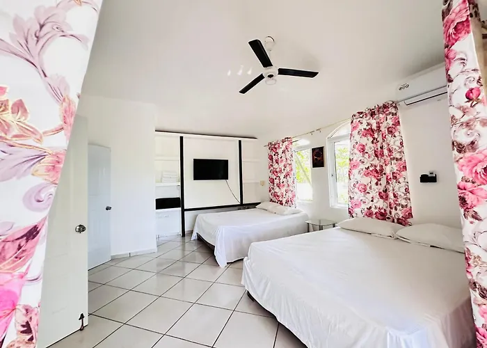 Happicasard & Holistic House