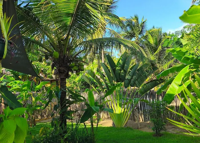 Côco Verde - Icaraí Kite Village