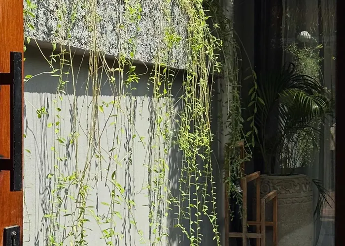 The Clifton Villas Canggu