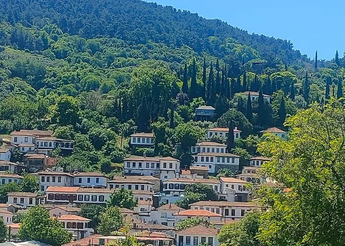Sirince Dogadaki Evler