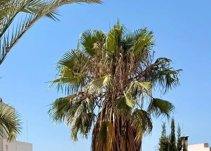 Casa Klod Ibiza