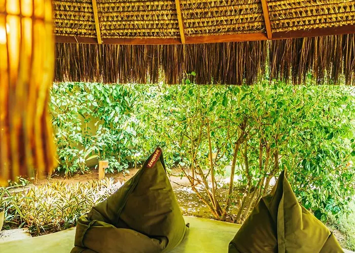 Carneiros Paradiso