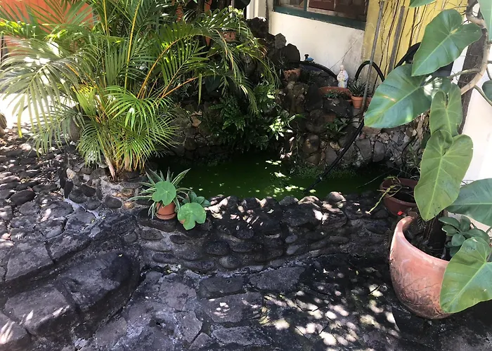 Studio Charmant A Basse Terre, Vue Sur Jardin, 15 M²