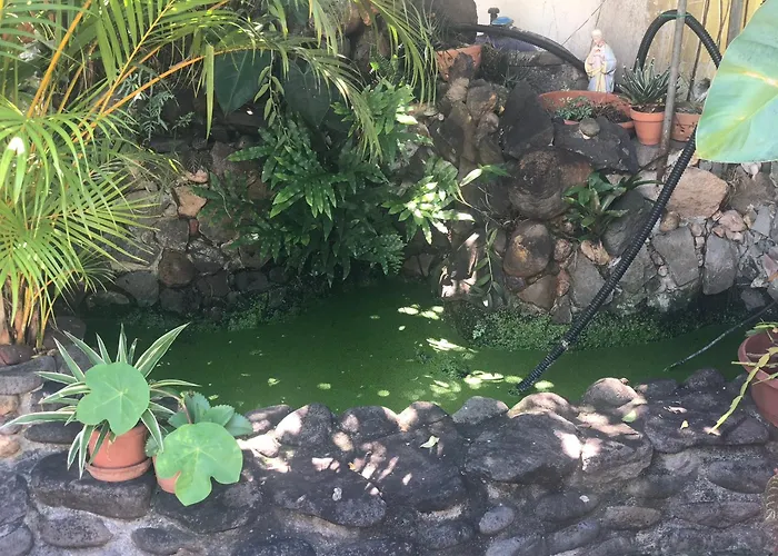 Studio Charmant A Basse Terre, Vue Sur Jardin, 15 M²
