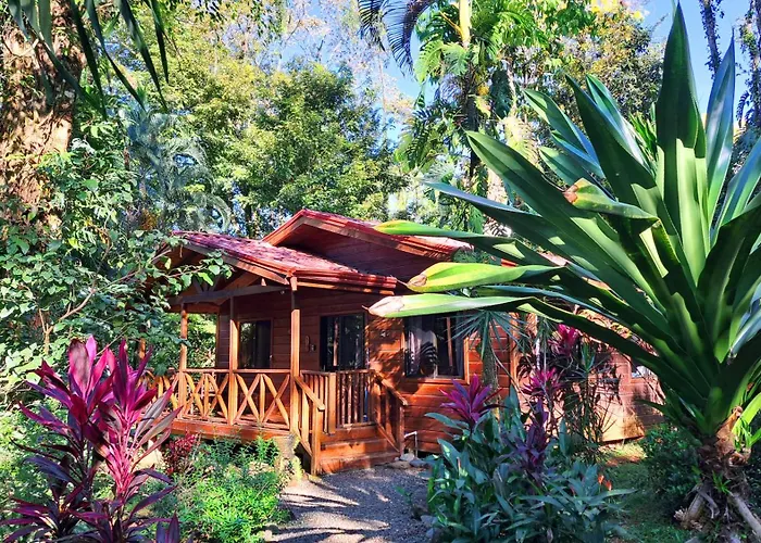 Cabinas Costa Tropicana
