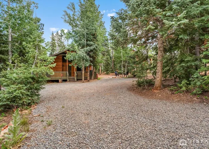 Lovely Log Cabin With Fire Pit!
