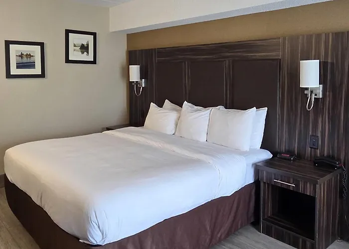 Comfort Inn Trenton
