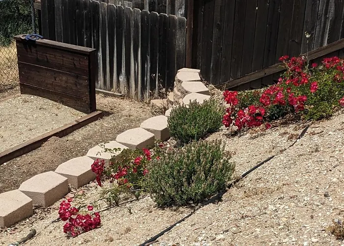 Manzanita Manorartistic Escape Near Downtown Paso