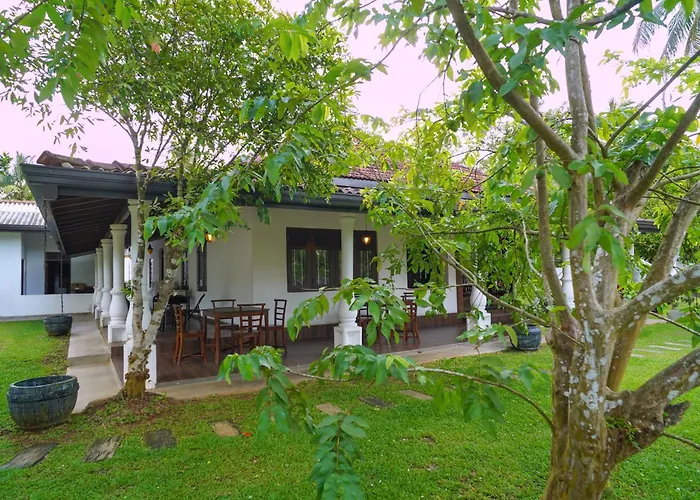 Echoing Dream Resort