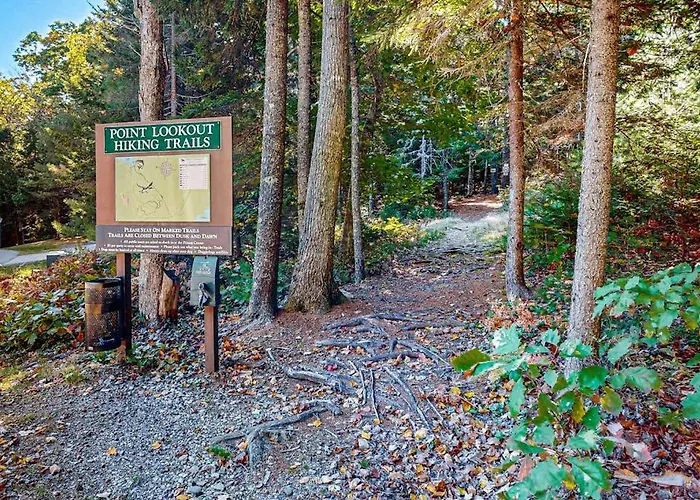 Comfortable Two Bedroom Cabin With Firepit, Kitchen, Hiking Trail Within Walking