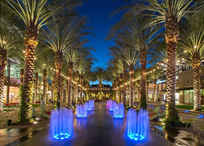 Scottsdale Sahuaro