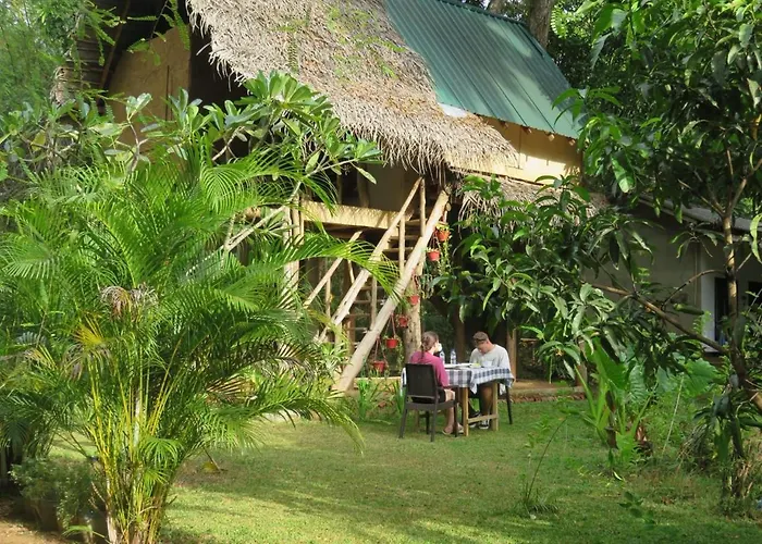 Sigiri Veenus Nature Cabana