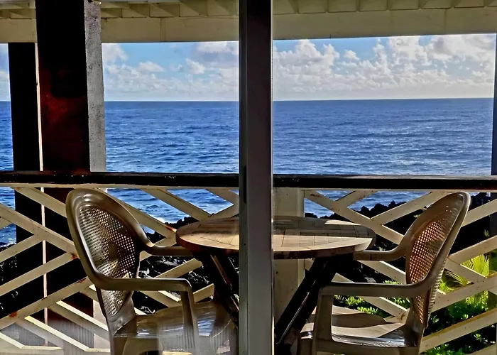 Oceanfront Studio See Whales And Dolphins