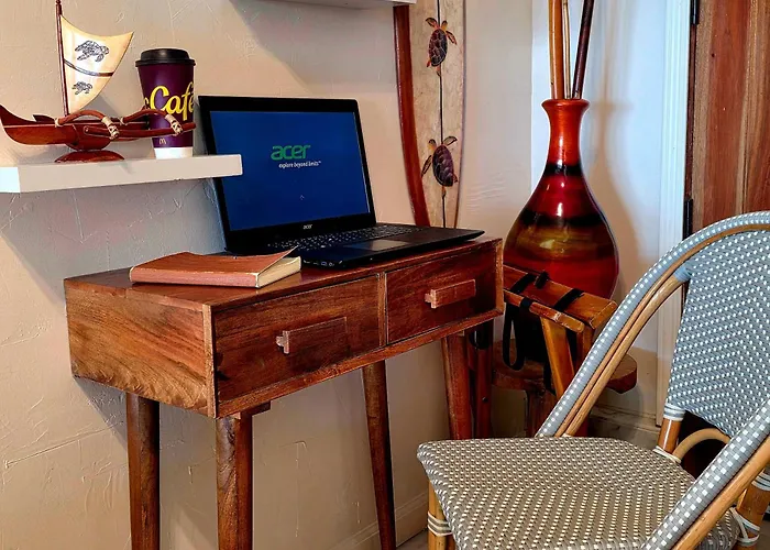Oceanfront Studio See Whales And Dolphins