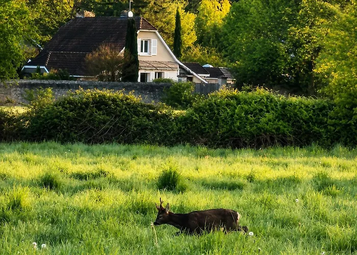 Le Temps D'Une Pau'Se