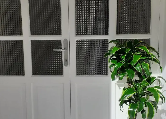 La Casa Di Ivy