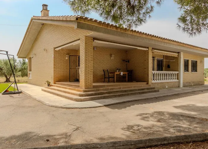 Masia Els Pins D'Olivers Reus