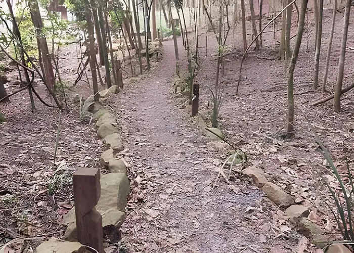 cabana andorinha