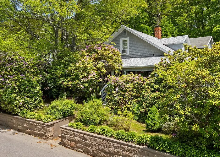 Bright, Spacious Getaway With Full Kitchen, Furnished Porch & Wifi - Near Trails