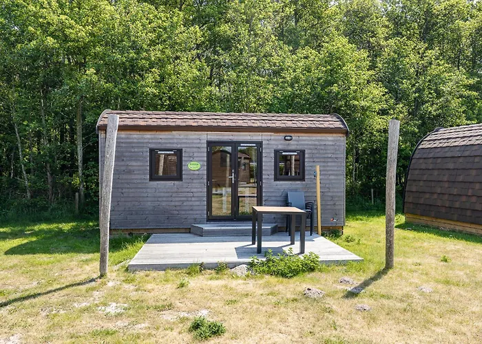 Welcome In - Duinlodge 4P - Camping Duinhoeve | Glamping Met Het Hele Gezin