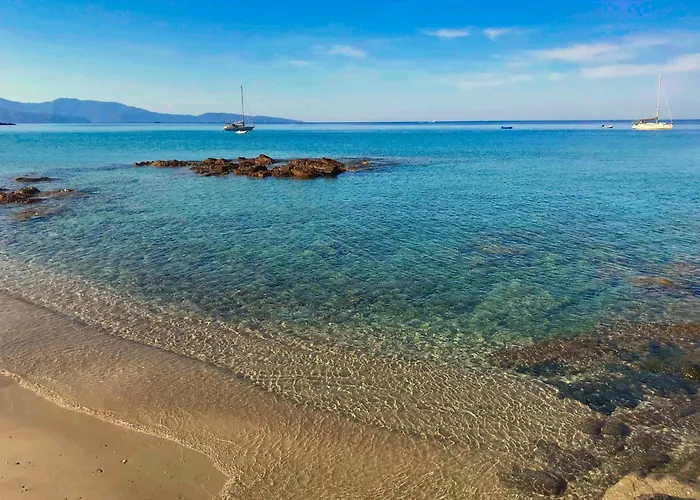 Solacargese-Les Chemins De Sonia-Terrasse Face A La Mer-Cargese La Grecque