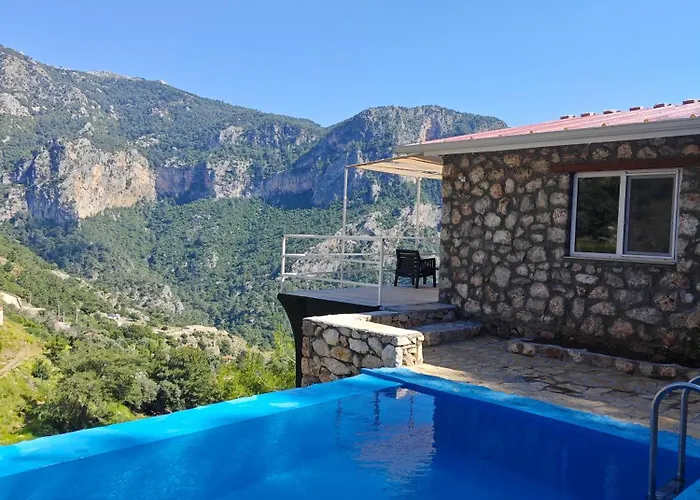 Villa Reset